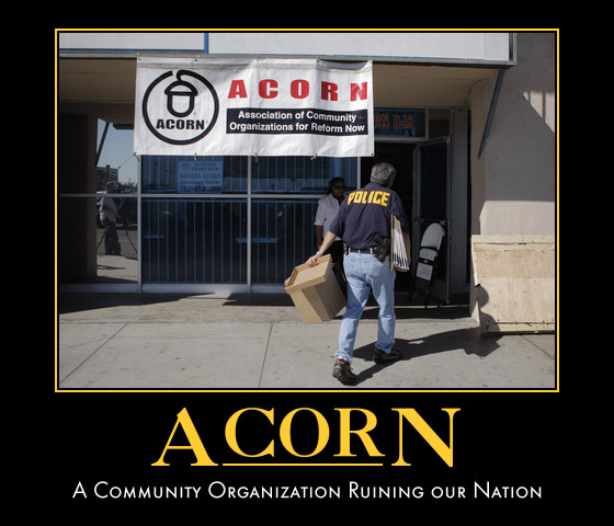 acorn-vote-2