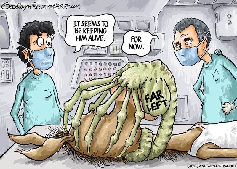 The Week in Radical Leftism – 11/21/2025 – Back to The Washington Post!